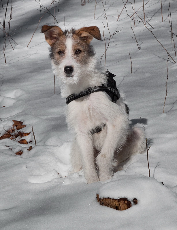 1 felix IMG_2409 als Smart-Objekt-1 Kopie.jpg